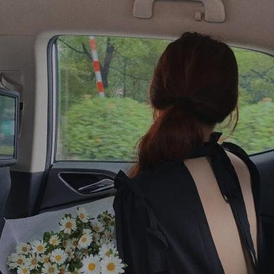 怪医杜立德5：百万傻蛋国语